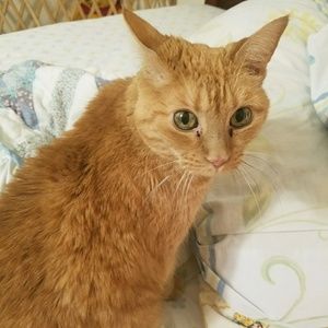 Meet your Posher, Cindi